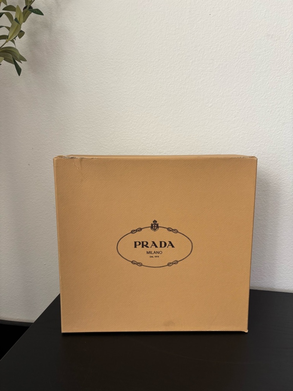 Prada Gift Storage Box + Tissue